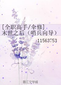 （全职高手同人）[全职高手/伞修] 末世之后（哨兵向导）