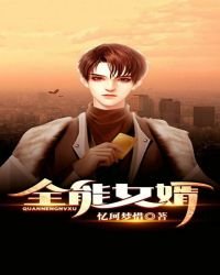 全能女婿