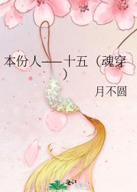 本份人——十五（魂穿）