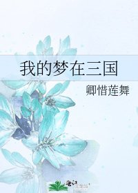 我的梦在三国