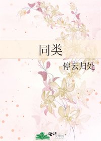 同类