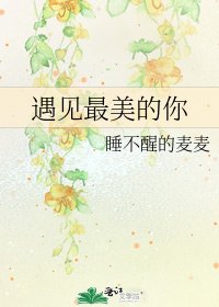 遇见最美的你