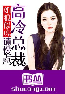如狼似虎：高冷总裁请慢点